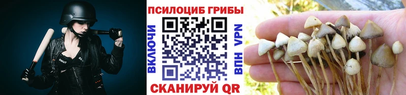 Псилоцибиновые грибы MAGIC MUSHROOMS  как найти   Кукмор 