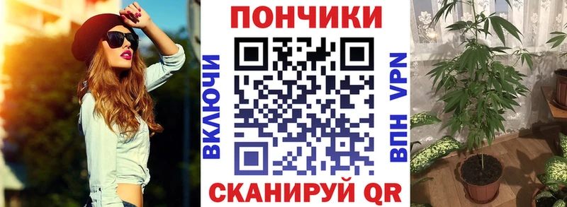 Шишки марихуана гибрид  MEGA онион  Кукмор 
